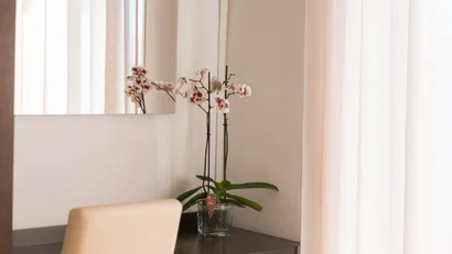 Orchidea bianca su tavolo vicino a sedia in una stanza luminosa